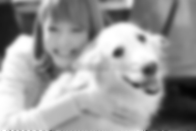 【獣姦】飼い犬と交尾してた女の子の体験談がほんのり切ない