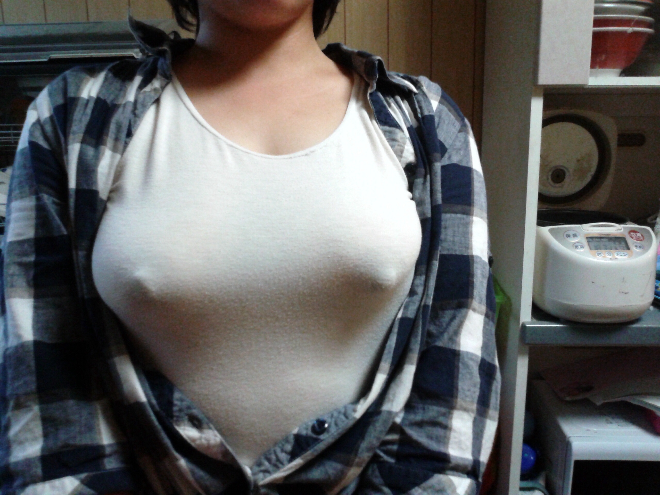 おっぱい,乳首,ノーブラ,透けポチ,エロ画像