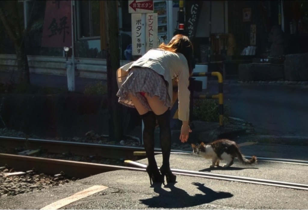 足湯,動物,パンチラ,エロ画像【12】