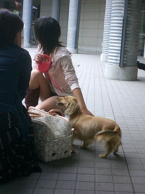 足湯,動物,パンチラ,エロ画像【22】