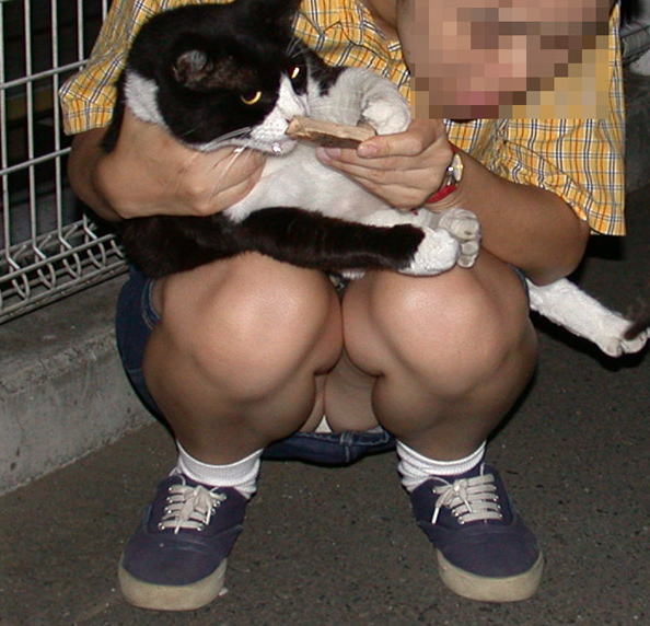 足湯,動物,パンチラ,エロ画像【27】