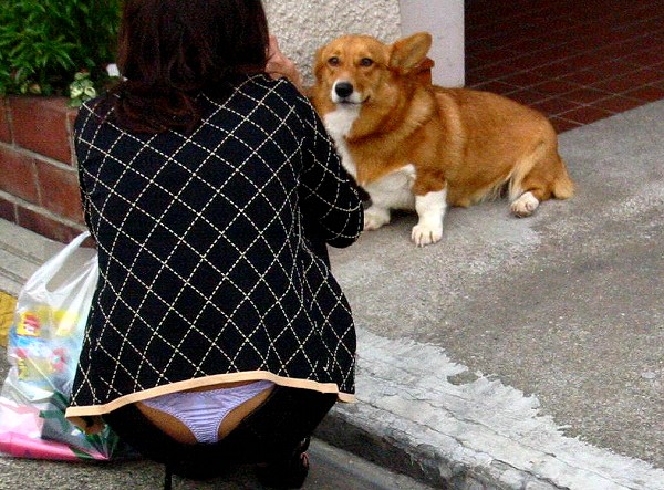 足湯,動物,パンチラ,エロ画像【32】