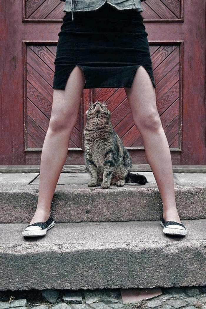 足湯,動物,パンチラ,エロ画像【36】