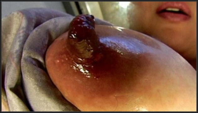 正月に食べ残した黒豆が冷蔵庫の中で干からびて熟女の黒乳首みたいになってた