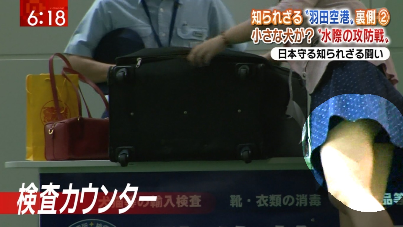 テレビに写った放送事故なパンチラ画像なんだが何か？