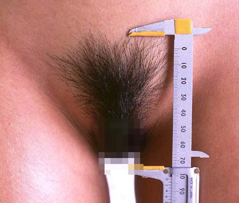【興味津々】女性の体の隅々まで測定した画像がエロ過ぎるｗｗｗ