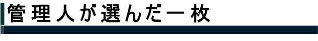 管理人が選んだ一枚