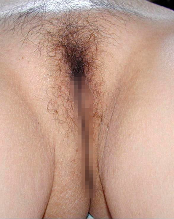 モロ！エロマ●コ画像！剛毛・パイパン・薄毛まで素人具だくさぁぁぁぁん