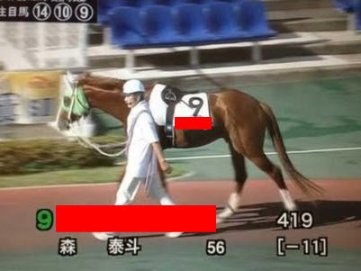 【画像あり】巨乳が大好きそうなオーナーが付けた競走馬の名前がストレート過ぎるｗｗｗｗｗｗ
