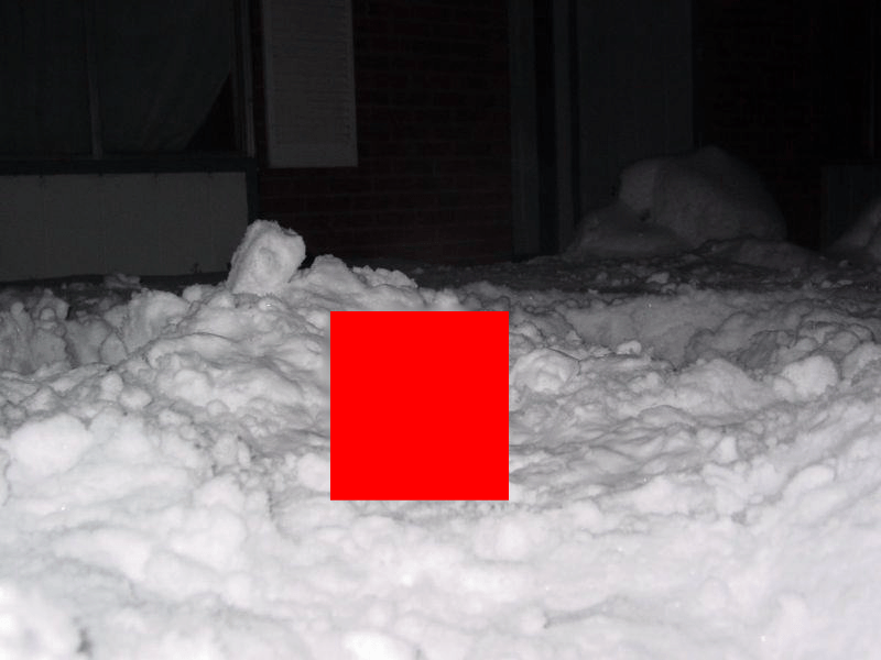 この雪の中から突き出ている物体をチンコと断定してよろしいか？？